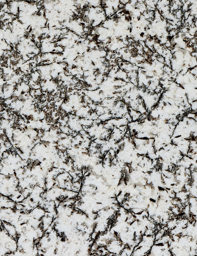 #color::speckled-black-marble | Close up of the stone of the Sumalee sculptural solid marble coffee table.