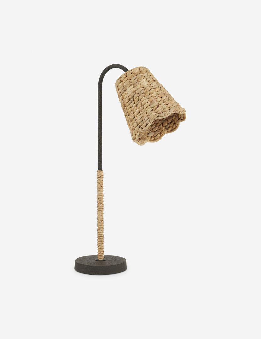 Nanina Desk Table Lamp