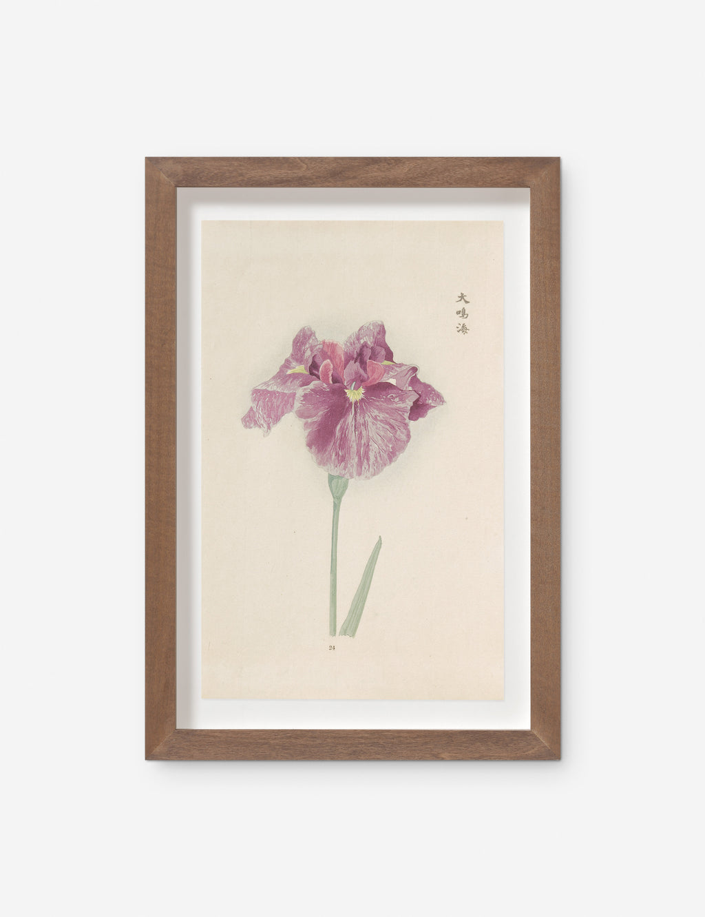 Vintage Japanese Iris No. 24 Wall Art by Miyoshi Manabu