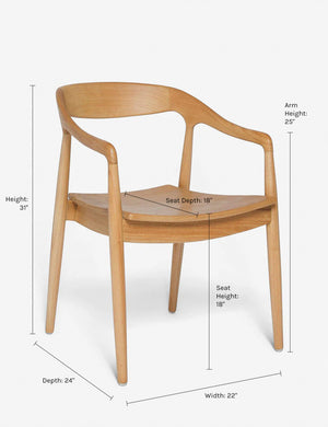 Dimensions on the Ida Dining Arm Chair