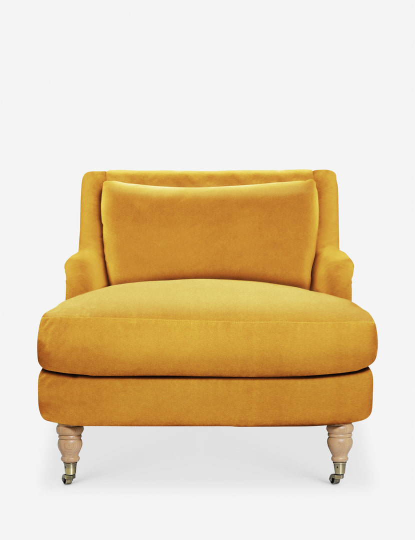 #color::goldenrod-plush-velvet