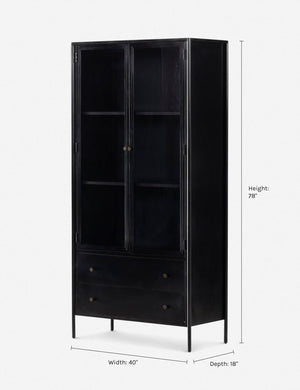 Mathus Curio Cabinet