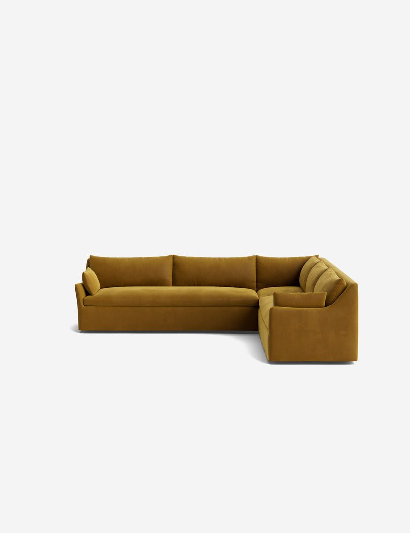 #color::goldenrod-plush-velvet #configuration::right-facing