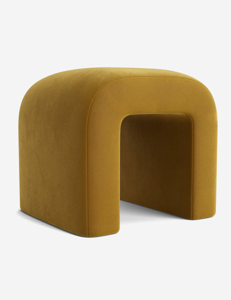 #color::goldenrod-plush-velvet