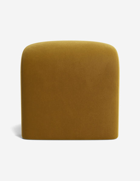 #color::goldenrod-plush-velvet