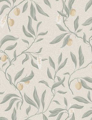 Scalamandre Vinnie Wallpaper Swatch by Sandberg, Sage