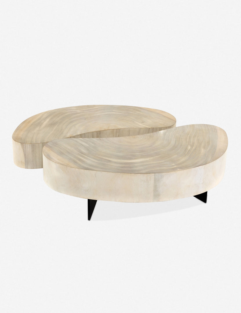 Finley Coffee Table Set