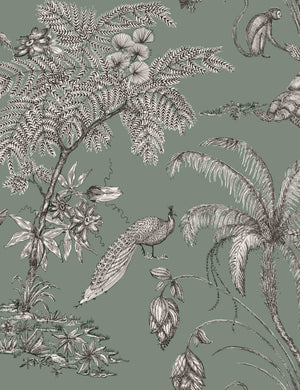 Scalamandre MOA Wallpaper Swatch by Sandberg, Juniper