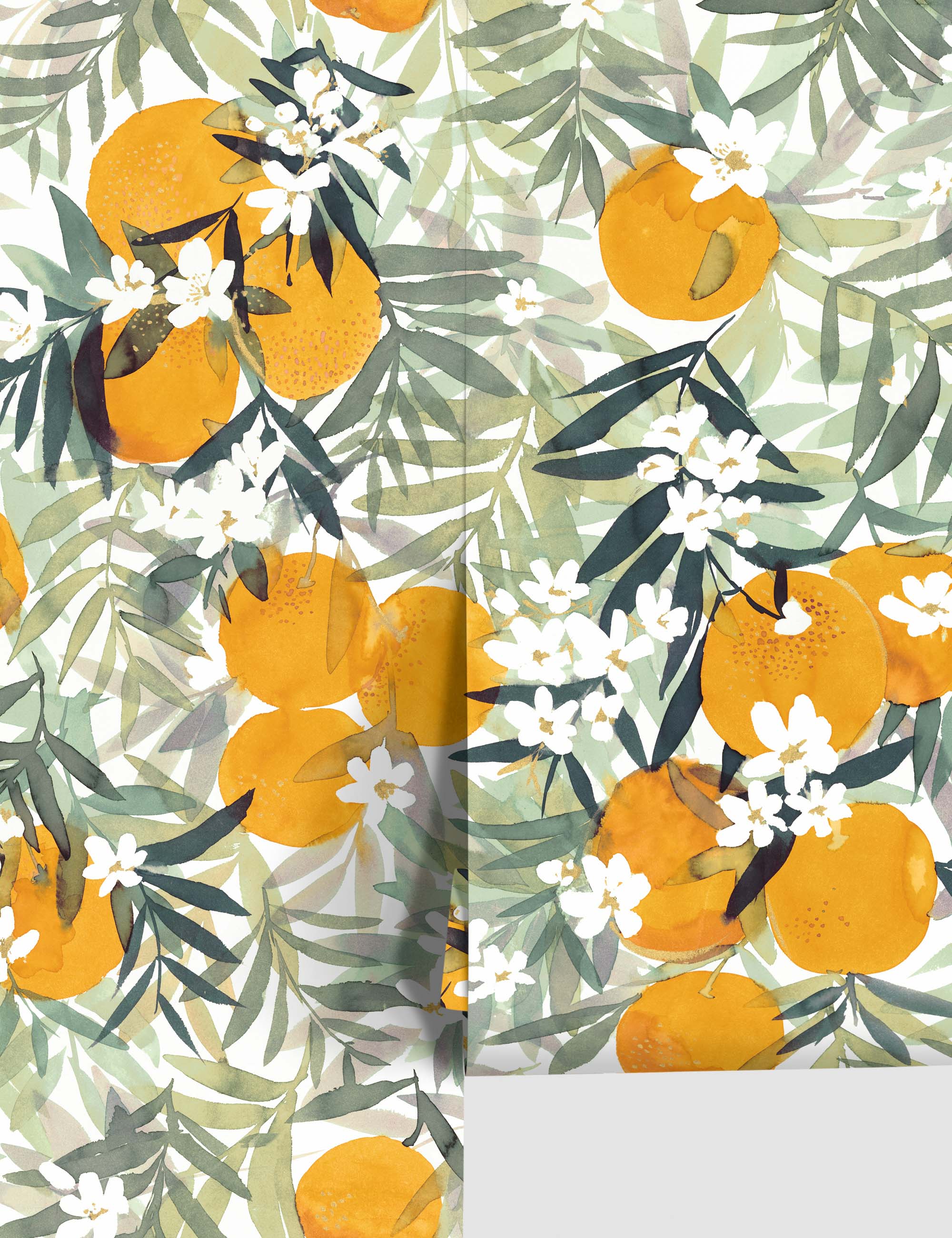 HD wallpaper oranges fruits flowers orange blossom bloom orange tree   Wallpaper Flare