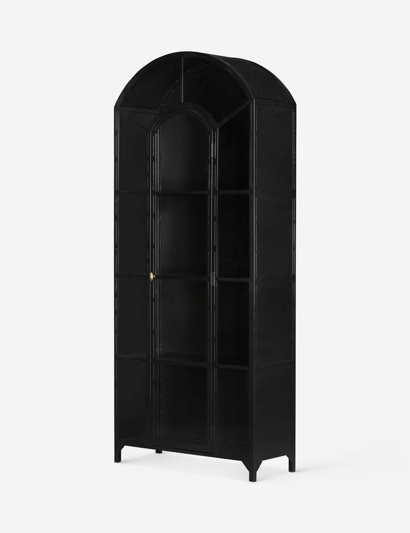 Black curio online cabinet with light